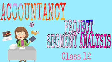 Accountancy Project |Class 12| Segment Analysis |COM QUEEN