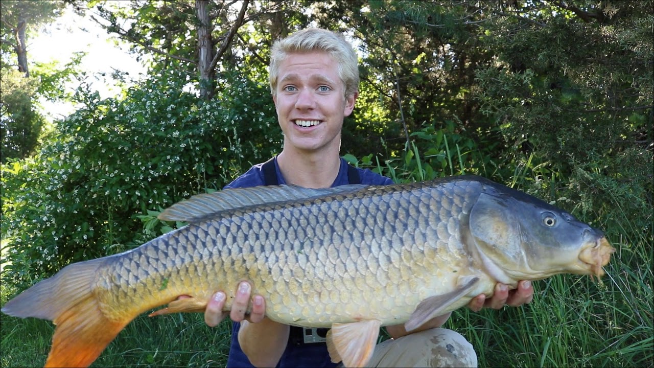 Bank Fishing Simple Rigs for GIANT Carp 