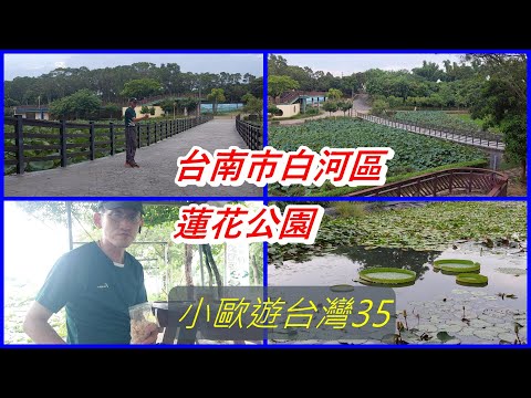 小歐遊台灣35-台南市白河區蓮花公園,蓮花(子)的故鄉,大王蓮,蓮子冰,冰糖蓮子,種類介紹