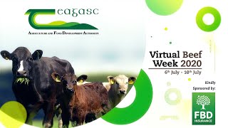 Teagasc: Virtual Beef Week Day 5