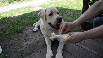 Light a match on any surface - SMALL BONUS - Handcraft math tricks - Homemade DIY projects