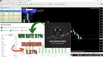 Black Panther Ultimate 2020 EA v1.5 – Just $20 | Live Myfxbook | 81% Win Rate |Lower DD 2.57%