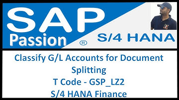 Classify G/L Accounts for Document Splitting | T Code - GSP_LZ2 | SAP S4 HANA Finance