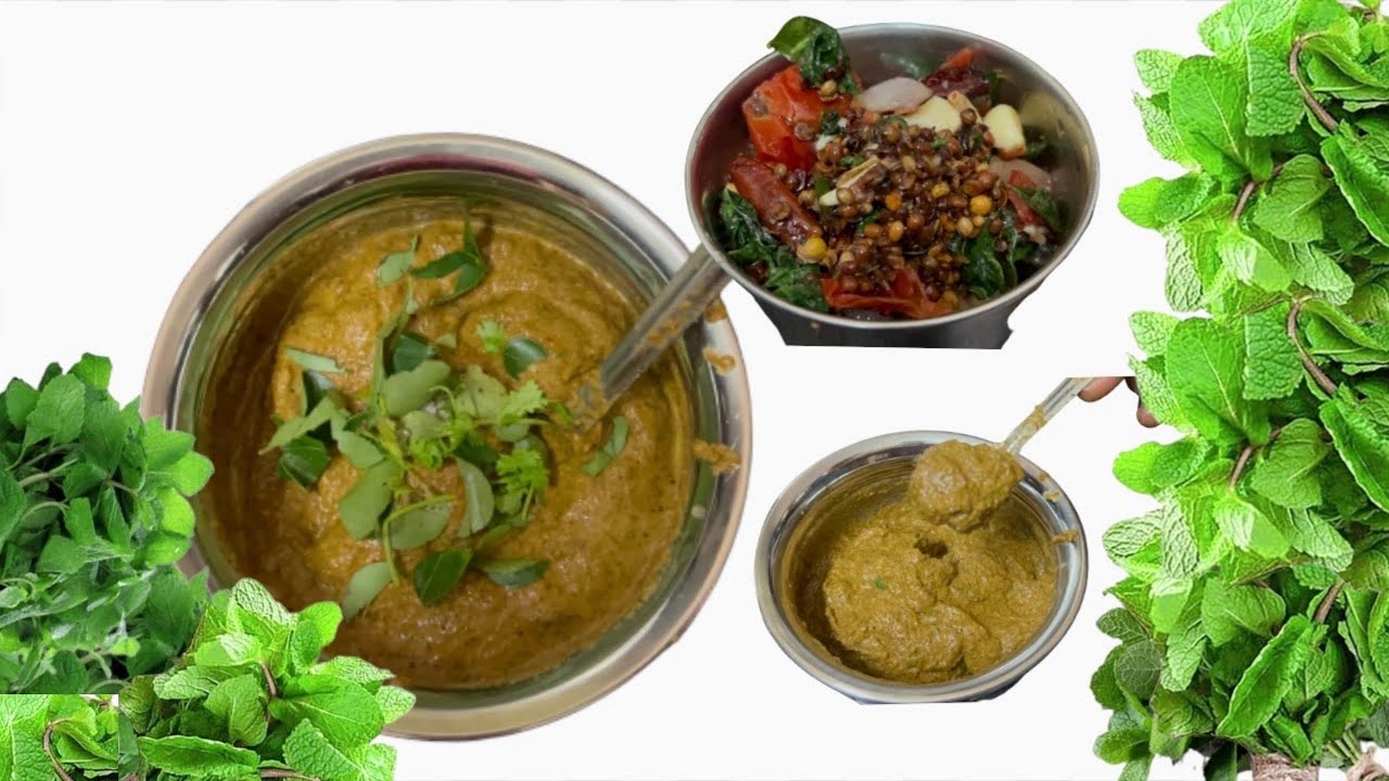 pudhina-pachadi-in-telugu
