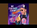 De Zwanzi Zwop