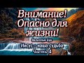 Внимание! Опасно для жизни! Иисус - наша судьба. Часть 4. Вильгельм Буш