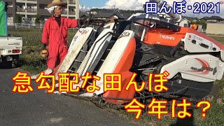 Harvesting 0.3 Acres (3,240 sq ft) with a Combine Harvester - Rice Paddy 2021 Kubota ER323