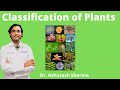 Types and Classification of Plants