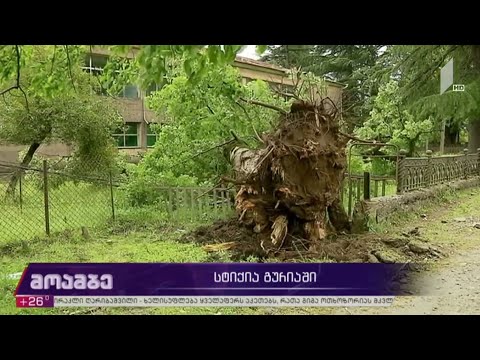 ლანჩხუთის მუნიციპალიტეტში ძლიერმა ქარმა პრობლემები შექმნა