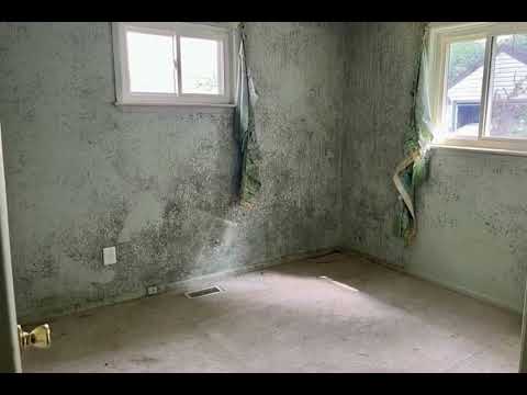 1276 Rambling Road, Ypsilanti, MI home video tour