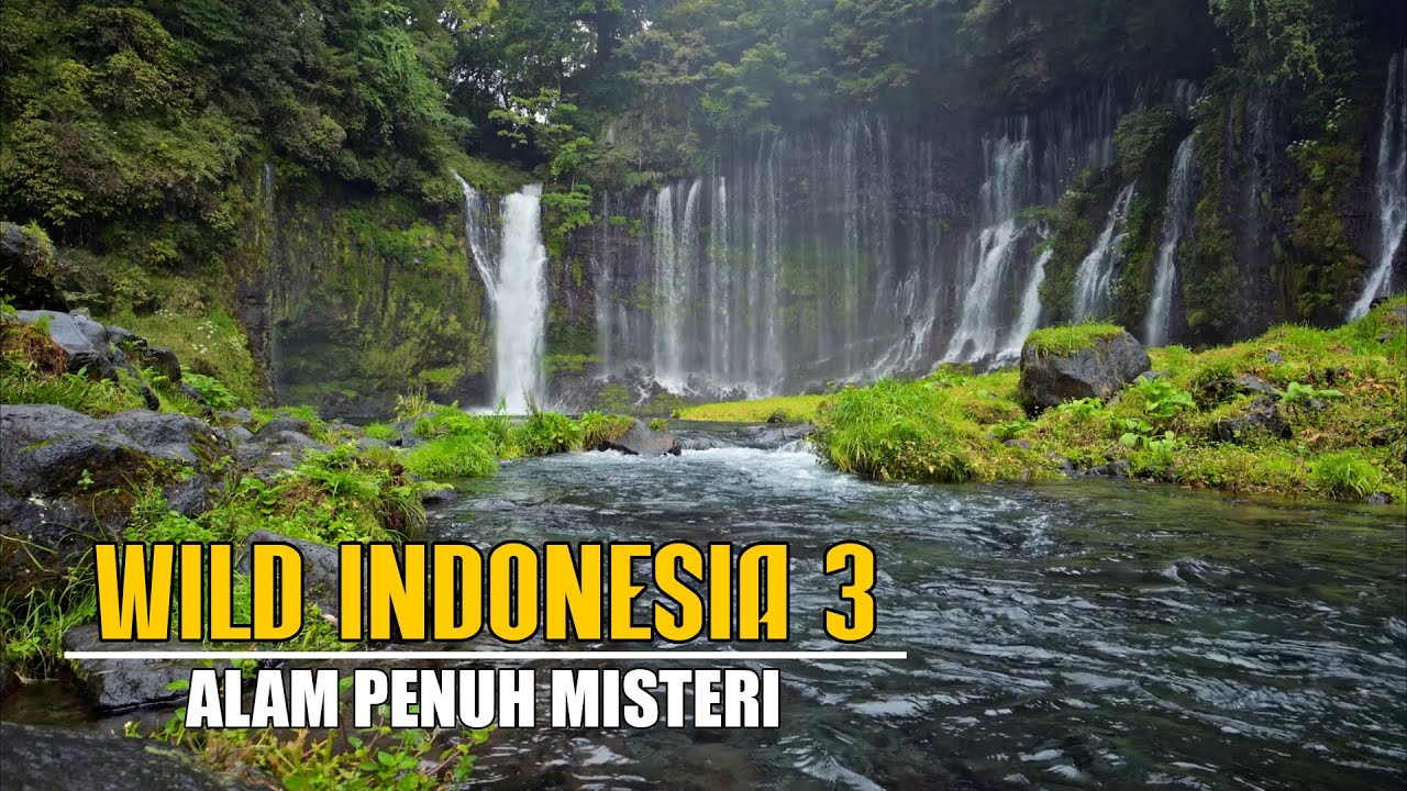 Wild Indonesia Part 3!!! Alam Penuh Misteri