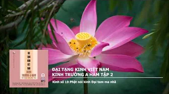 K.Trường A Hàm tập 2 – K.số 19 Phật nói K.Đại tam ma nhã 
