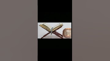 #والله_يدعو_إلى_دار_السلام|#القارئ_احمد_النفيس|سورة يونس