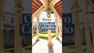 O Ribeiro – O Carballiño: 15 lugares imprescindibles en Ourense 🌿🍇