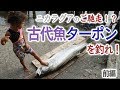 世界一不味い魚！？魅惑の古代魚・ターポン前編【ゲテモノチャレンジ第１５弾】