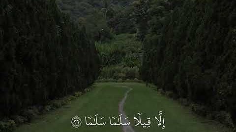 سورة الواقعة ❤️بصوت الشيخ عمير التميم🤍#سورة الواقعة #قرآن كريم #quran 