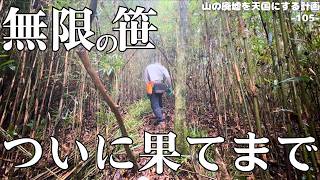 【ついに！】無限笹薮の果てに到達！ついに、ここまで来ました。
