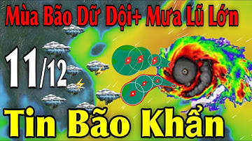 Mùa Bão Dữ Dội Mưa Lũ Lớn Tin Bão Khẩn | Dự báo thời tiết ngày 11/12 | thời tiết 15 ngày Tới