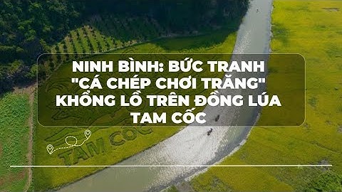 NINH BÌNH BỨC TRANH 