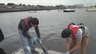 MESTECH Visual Sensing at Poolbeg