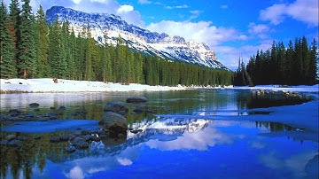 جديد اسلام صبحي سورة النجم أرح سمعك راحه نفسية 😇😌مع الطبيعة الساحرة Full HD 🌸🌷🌊🌼 Islam subhi