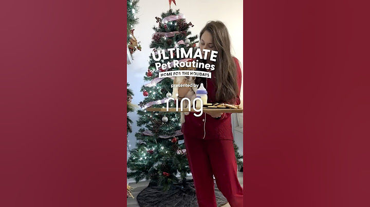 Foster Puppy Gets Caught On Camera Destroying Santa's Cookies | The Dodo
