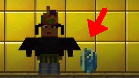 The Blockheads: Secret Time Crystals (Carry Them)