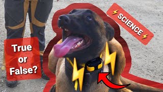 Scientific study on SHOCK COLLARS  Shocking RESULTS!  #dogtraining