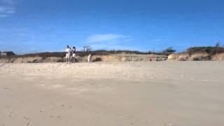 IMG 51491