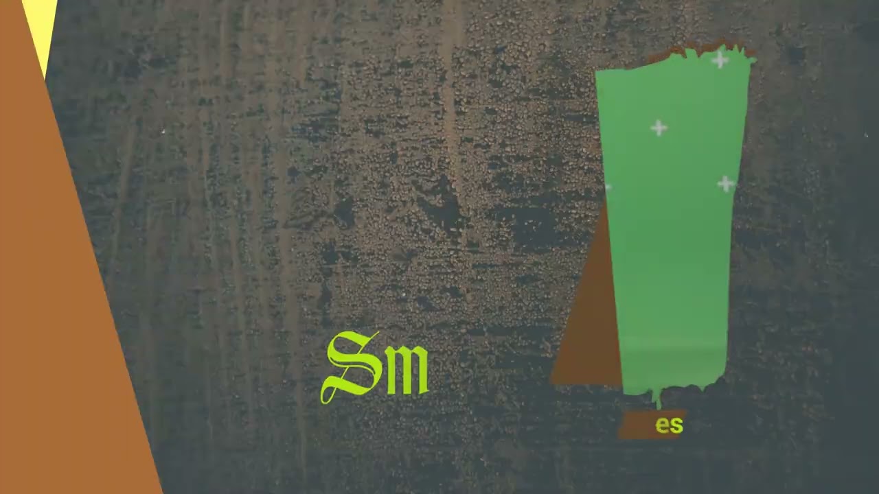 luxury clothing brand reel