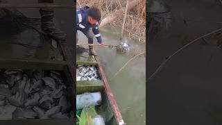 Il a trouvé le meilleur spot de pêche #pêche #poisson #animaux #fishing #shorts #foryou