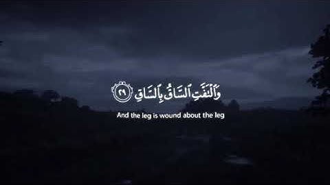 تلاوة للأيات الأوائل من سورة القيامة للشيخ القارئ سلمان العتيبي