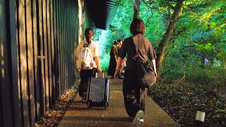 [4K] 代々木駅から明治神宮を通って原宿駅へ (2025年8月)