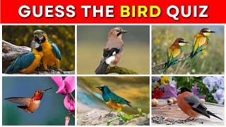 Guess the Bird Quiz | 50 Birds in 10 Minutes HQ Footage screenshot 5