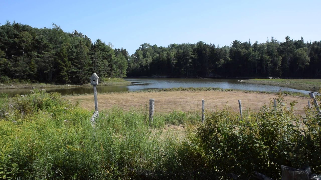 Chandler's River at Jonesboro, Maine Down River from Memorial Park, August 18, 2015 YouTube