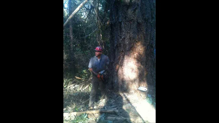 son of a workin man
