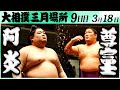 大相撲　阿炎ー尊富士　＜令和６年三月場所・９日目＞SUMO