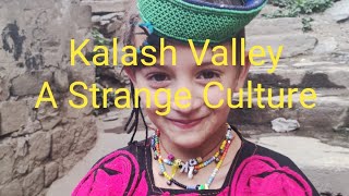 Kalash Valley Culture