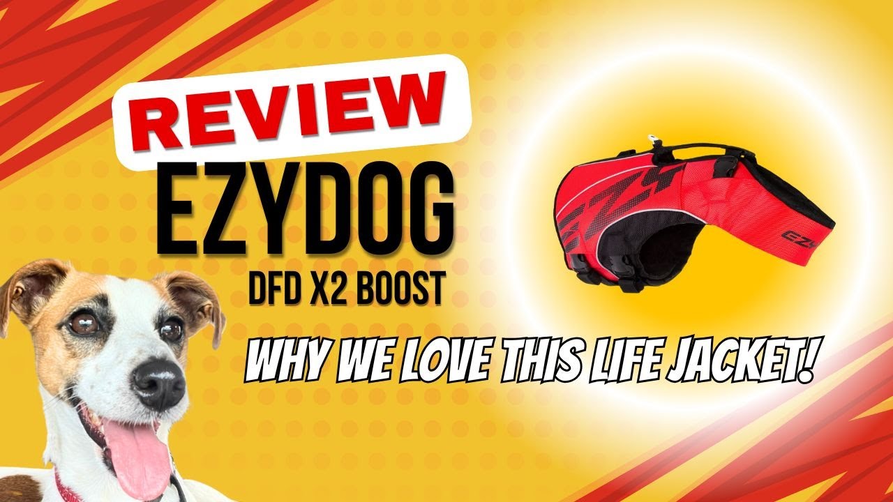 EZYDOG LIFE JACKET REVIEW