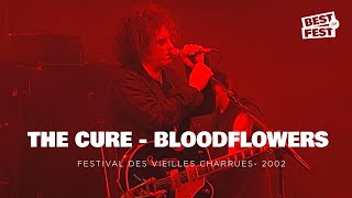 The Cure - Bloodflowers - Live (Festival des Vieilles Charrues 2002)
