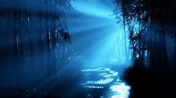 CRYENGINE V - Atmospheric Mystical Forest [4K]