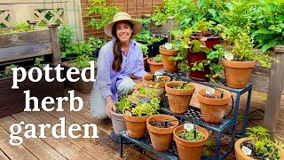 Planting An Herb Garden All In Pots🪴 Rooftop Container Gardening