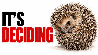 If a Hedgehog Rolls Into a Ball, This Is What It's Really Doing