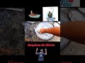 #pesca #playa Short #viral # #musica