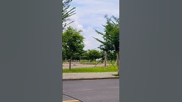 View 1 Cà Phê Mộc ngay Cầu Cần Giuộc mới