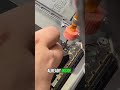 Dead Laptop Touchpad Fixed Like New