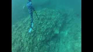 GoPro Hero 2 HD Spearfishing Japan