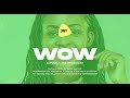 Amapiano Instrumental ''Wow'' Young John x Asake x Zinoleesky Type Beat