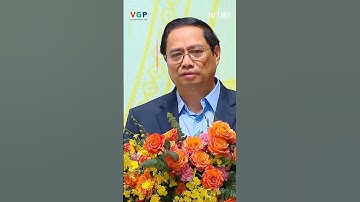 Thủ tướng chỉ đạo nâng cao hiệu quả hoạt động, đổi mới khu vực DNNN