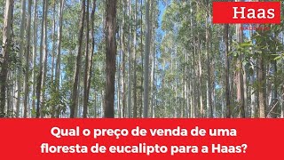 Qual O Preço De Venda De Uma Floresta De Eucalipto Para A Haas?